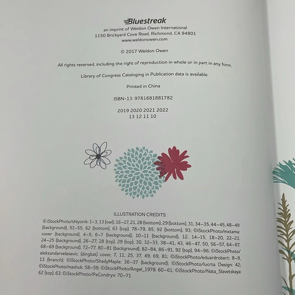 Bluestreak grandmother journal